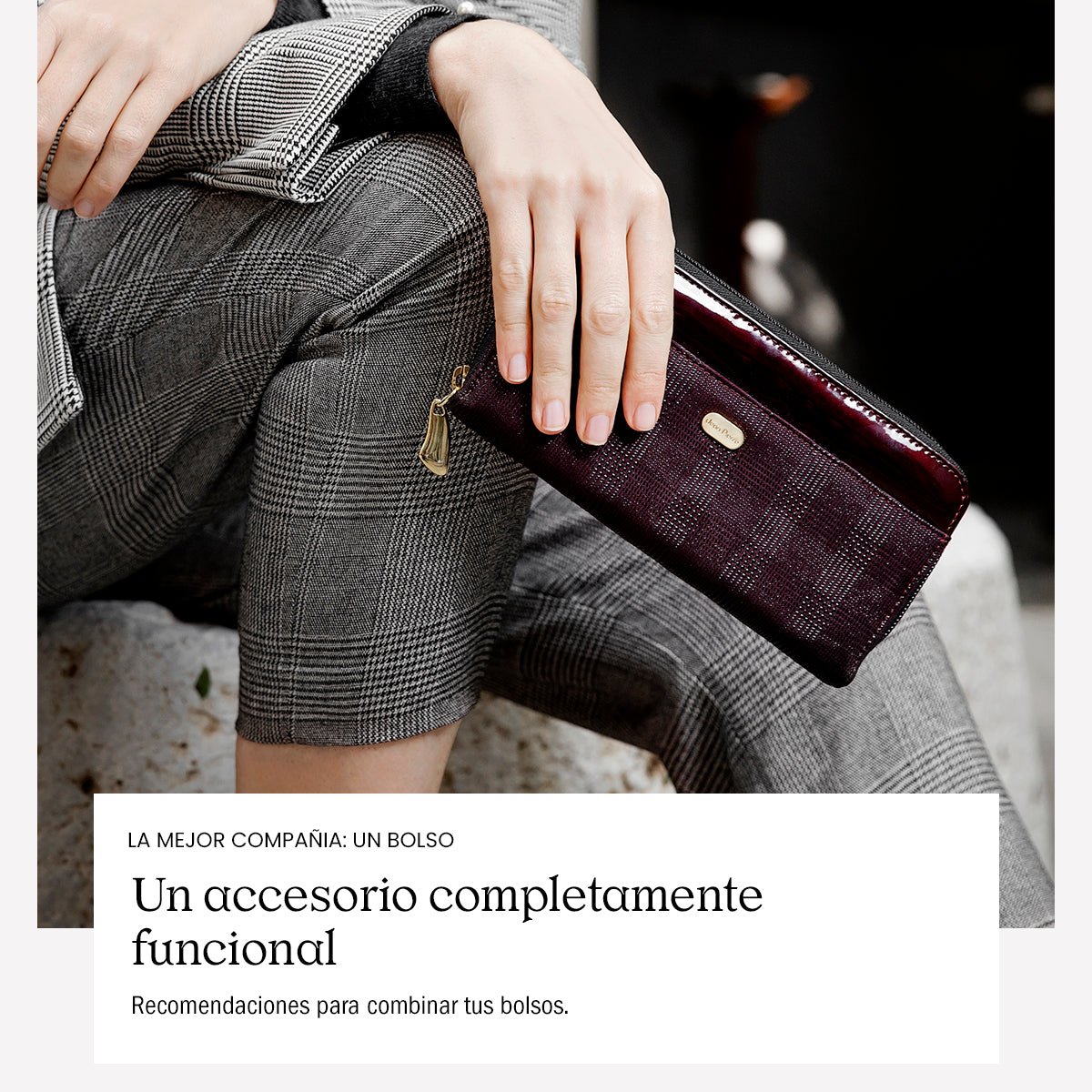 LA MEJOR COMPAÑÍA: UN BOLSO - Jean Pierre